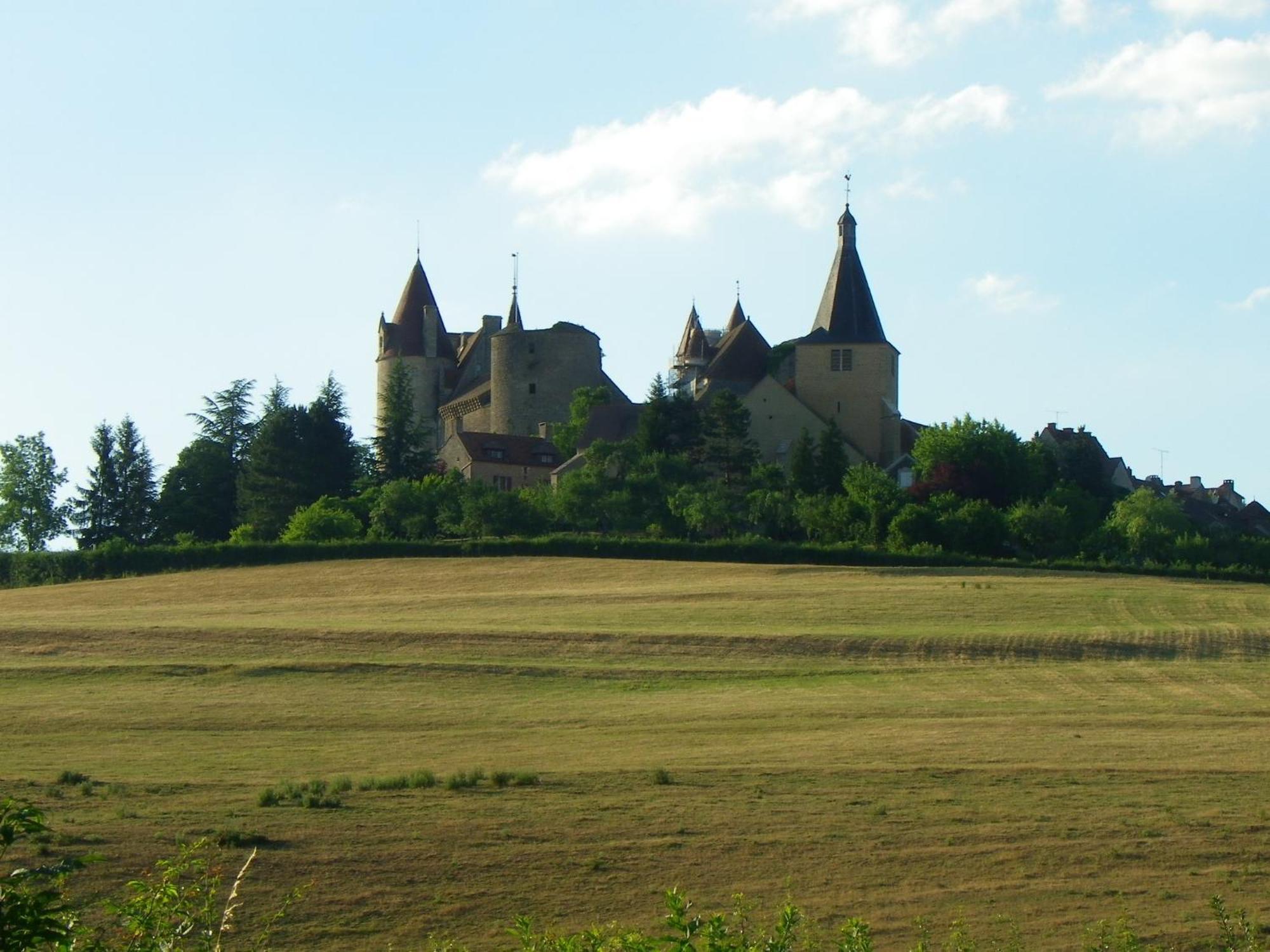 Le Cottage Du Chateau Chaudenay-le-Chateau Ngoại thất bức ảnh